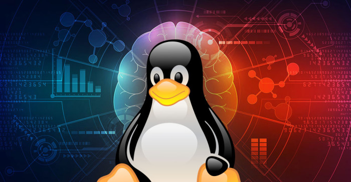 معسكر إدارة أنظمة لينكس Linux
