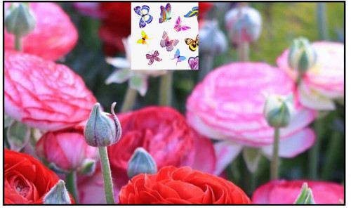  صورة للمشروع لعبه بسيطه
