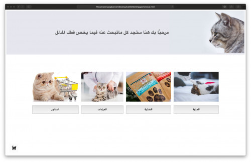  صورة للمشروع مربي القطط ✨