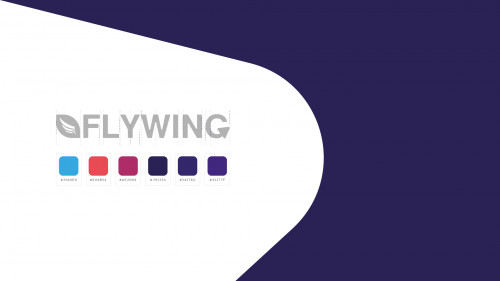  صورة للمشروع Flywing Project